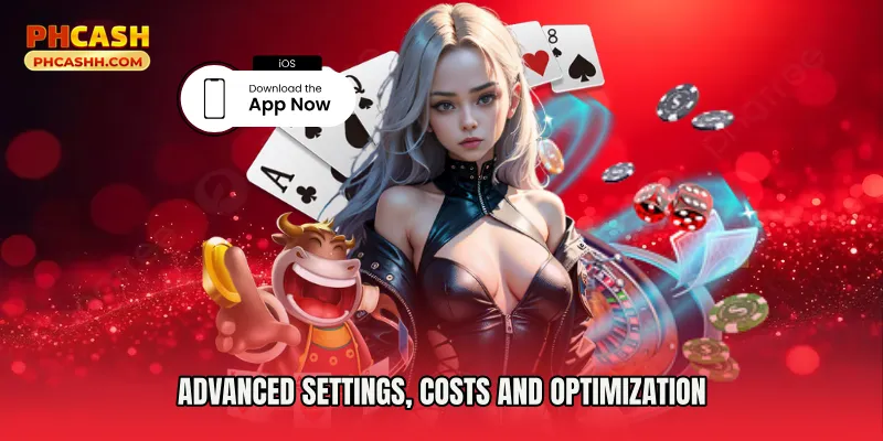 Advanced Settings, Costs and Optimization